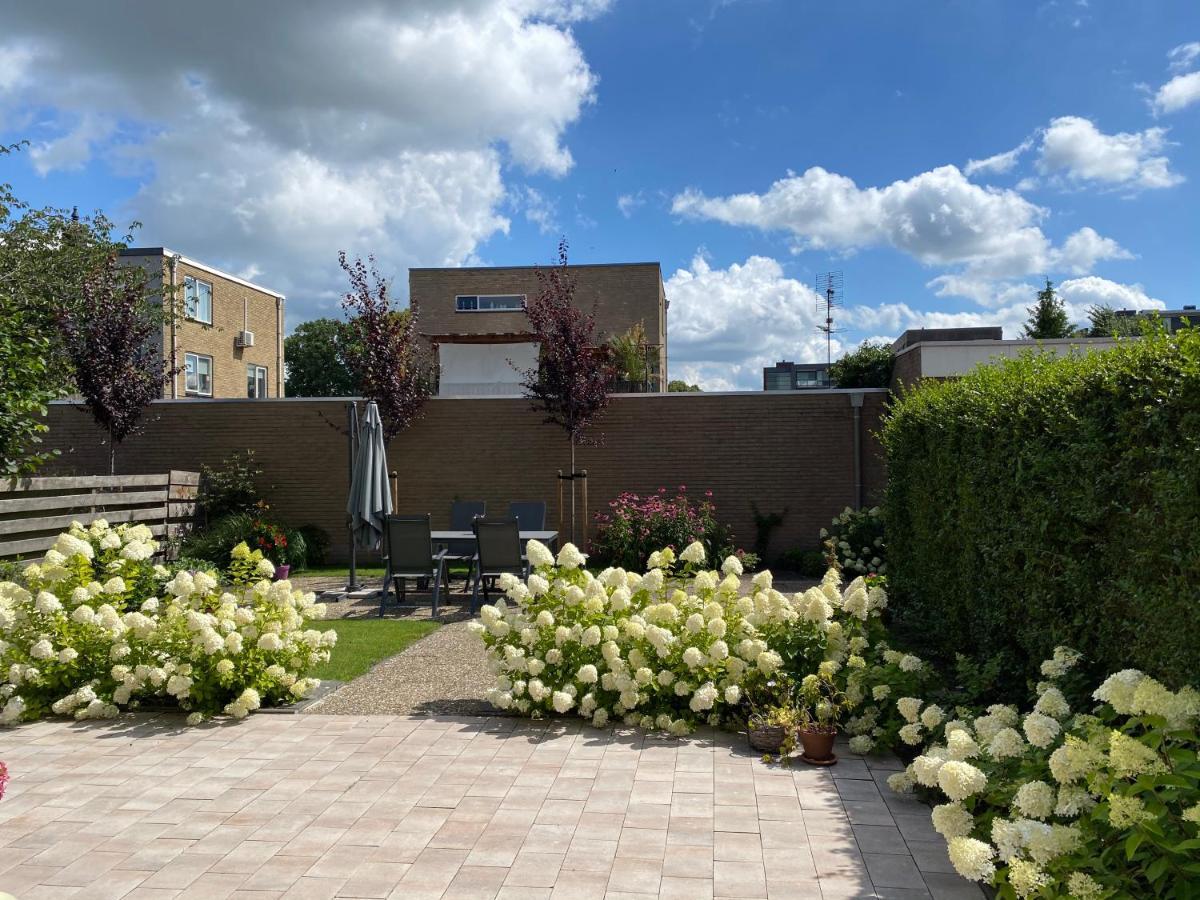 Studio Brinkstraat Hoogeveen Bagian luar foto